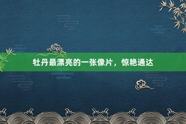 牡丹最漂亮的一张像片，惊艳通达