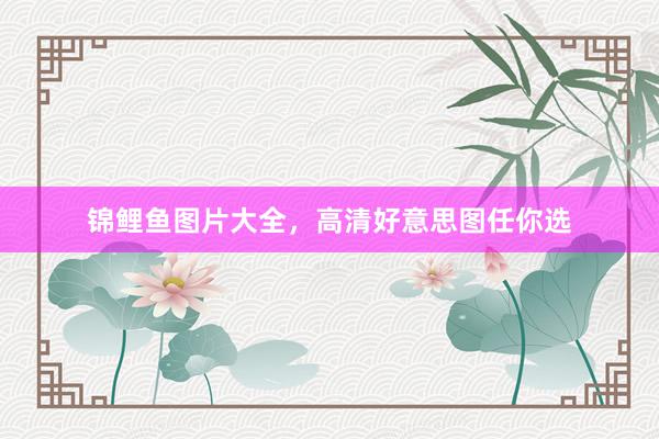 锦鲤鱼图片大全，高清好意思图任你选