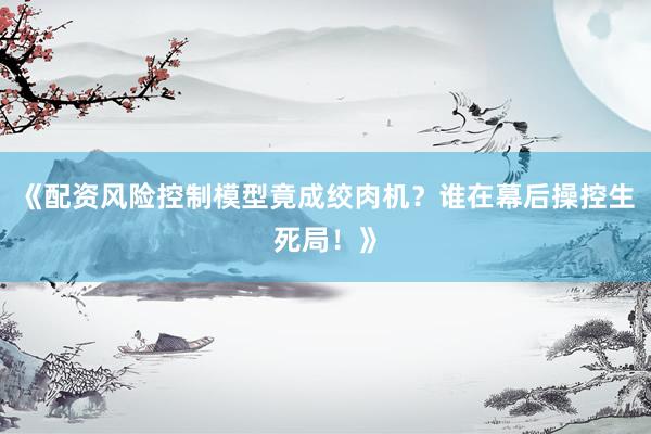 《配资风险控制模型竟成绞肉机？谁在幕后操控生死局！》