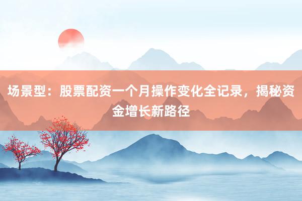 场景型：股票配资一个月操作变化全记录，揭秘资金增长新路径