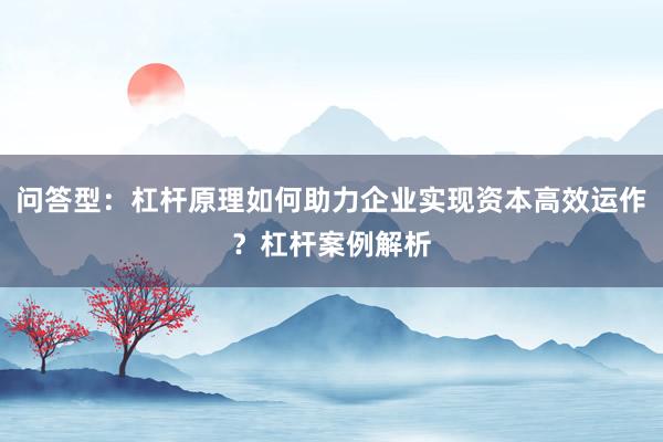 问答型：杠杆原理如何助力企业实现资本高效运作？杠杆案例解析