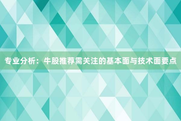 专业分析：牛股推荐需关注的基本面与技术面要点