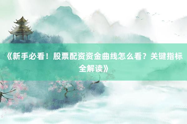 《新手必看！股票配资资金曲线怎么看？关键指标全解读》