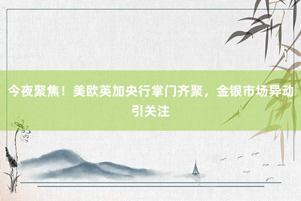 今夜聚焦！美欧英加央行掌门齐聚，金银市场异动引关注
