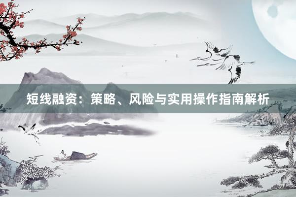 短线融资：策略、风险与实用操作指南解析