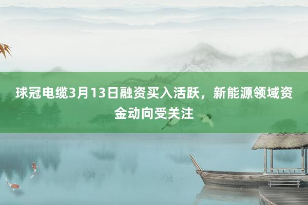 球冠电缆3月13日融资买入活跃，新能源领域资金动向受关注
