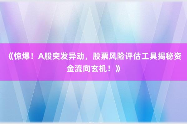 《惊爆！A股突发异动，股票风险评估工具揭秘资金流向玄机！》