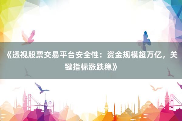 《透视股票交易平台安全性：资金规模超万亿，关键指标涨跌稳》