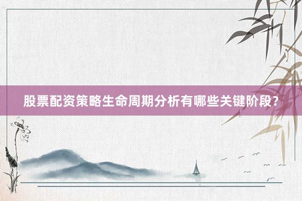 股票配资策略生命周期分析有哪些关键阶段?