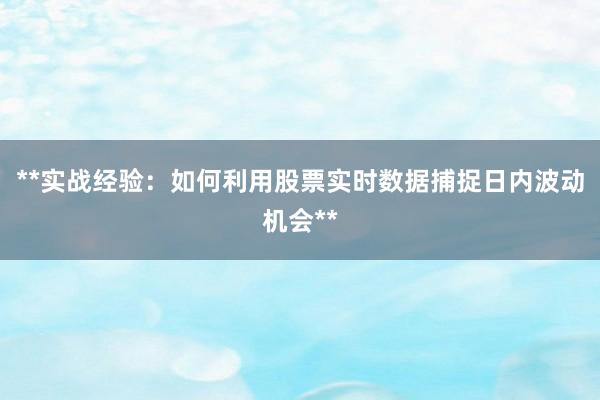 **实战经验：如何利用股票实时数据捕捉日内波动机会**