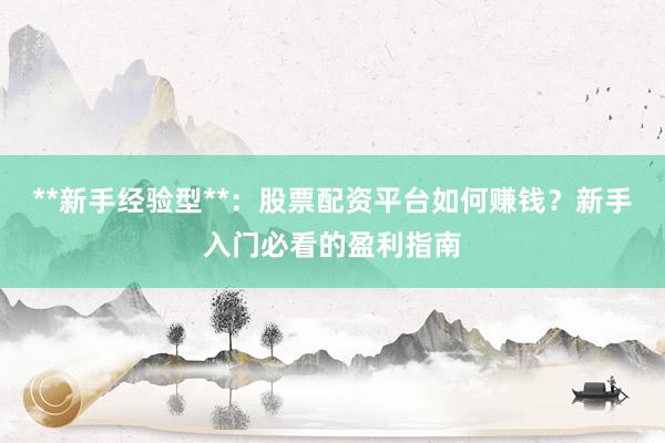 **新手经验型**：股票配资平台如何赚钱？新手入门必看的盈利指南